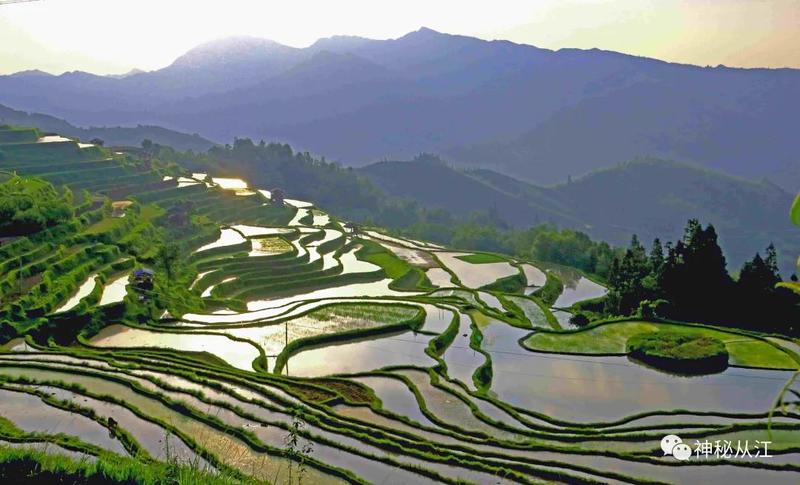 貴州從江：夕陽西下的岑豐梯田美如畫