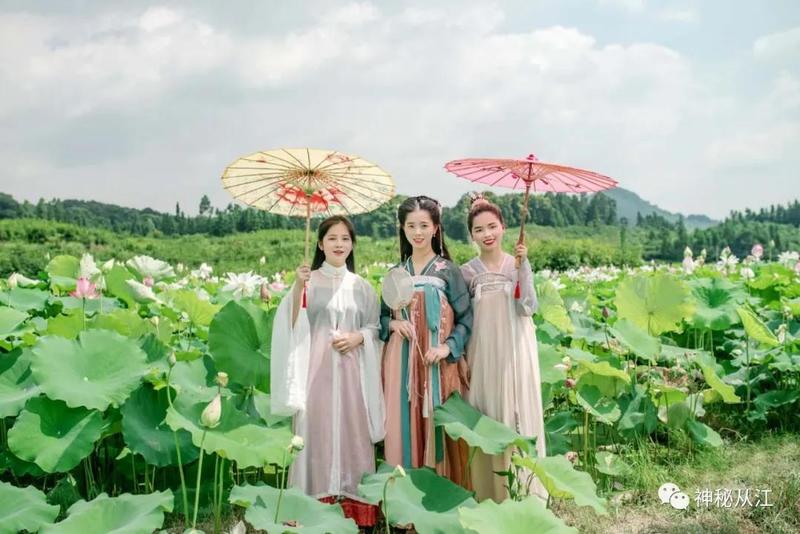 花開好時節(jié) | 走，相約從江賞花，拍照去